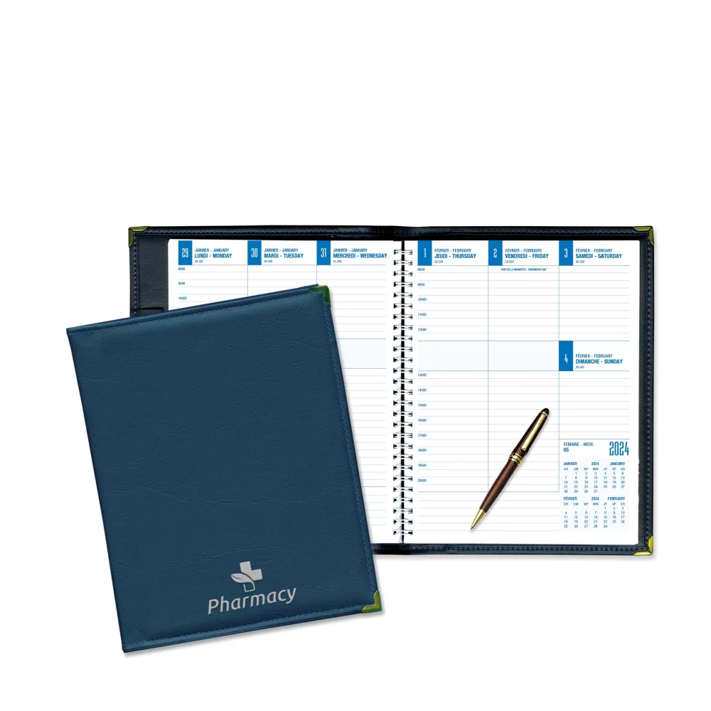 The Director Planner