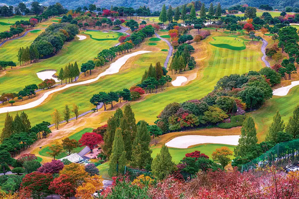 Calendrier de bureau double vue pour le golf