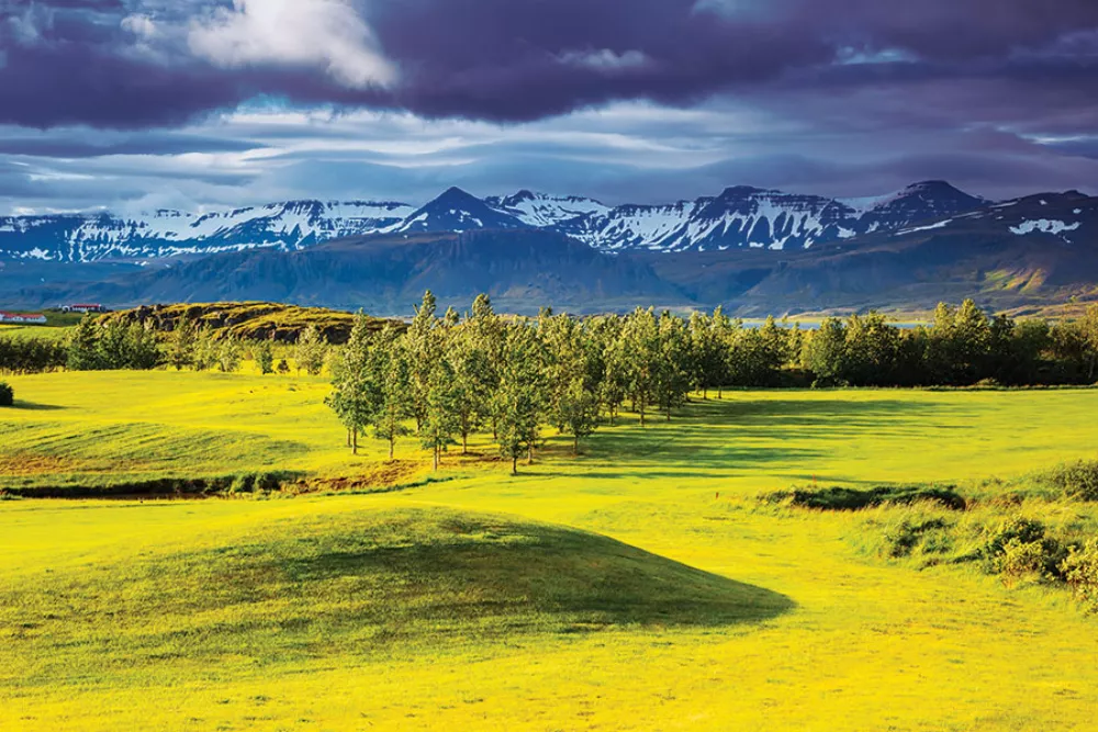 Calendrier de bureau double vue pour le golf