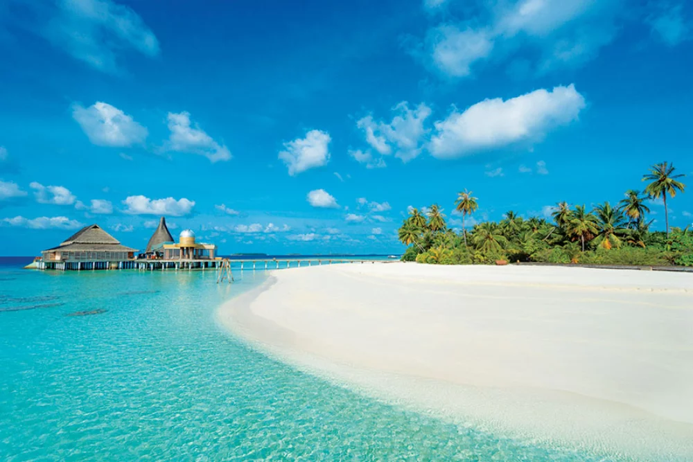 Calendrier de rendez-vous tropical
