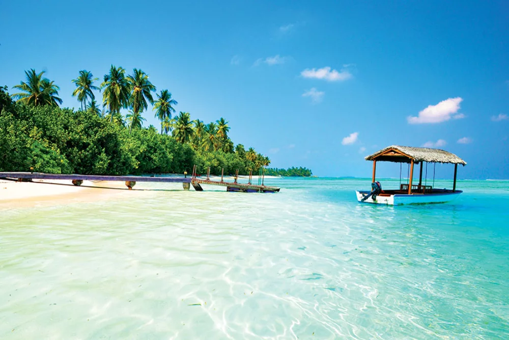 Calendrier de rendez-vous tropical