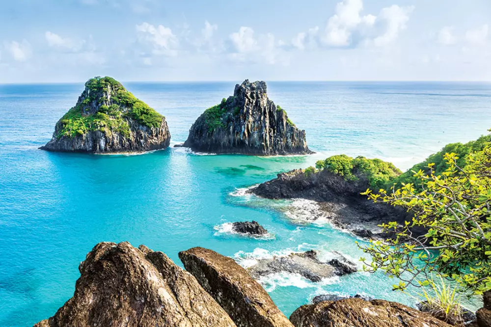 Calendrier de rendez-vous tropical