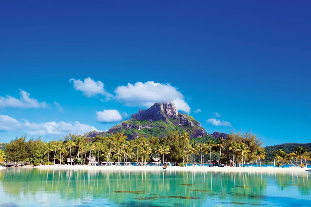 Calendrier de rendez-vous tropical