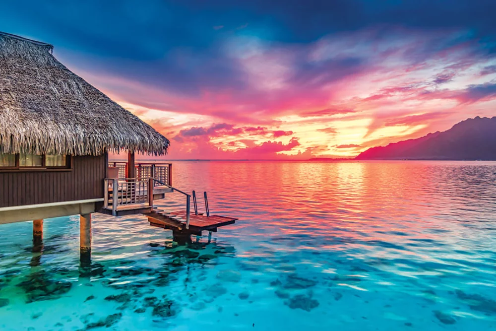 Calendrier de rendez-vous tropical