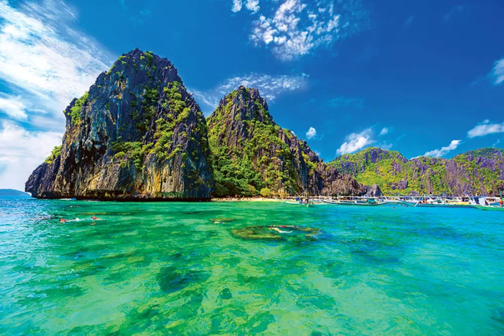 Calendrier de rendez-vous tropical