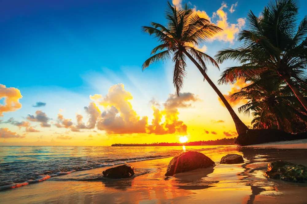 Calendrier de rendez-vous tropical