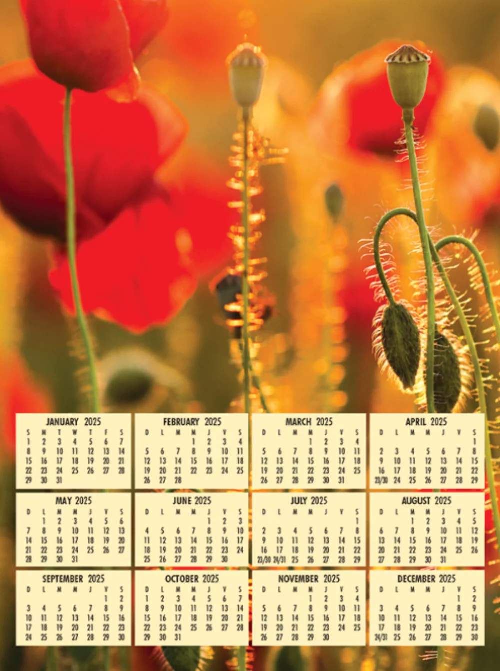 Mini Instant View Calendar