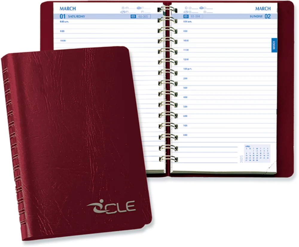 Day-In-View Budget Planner