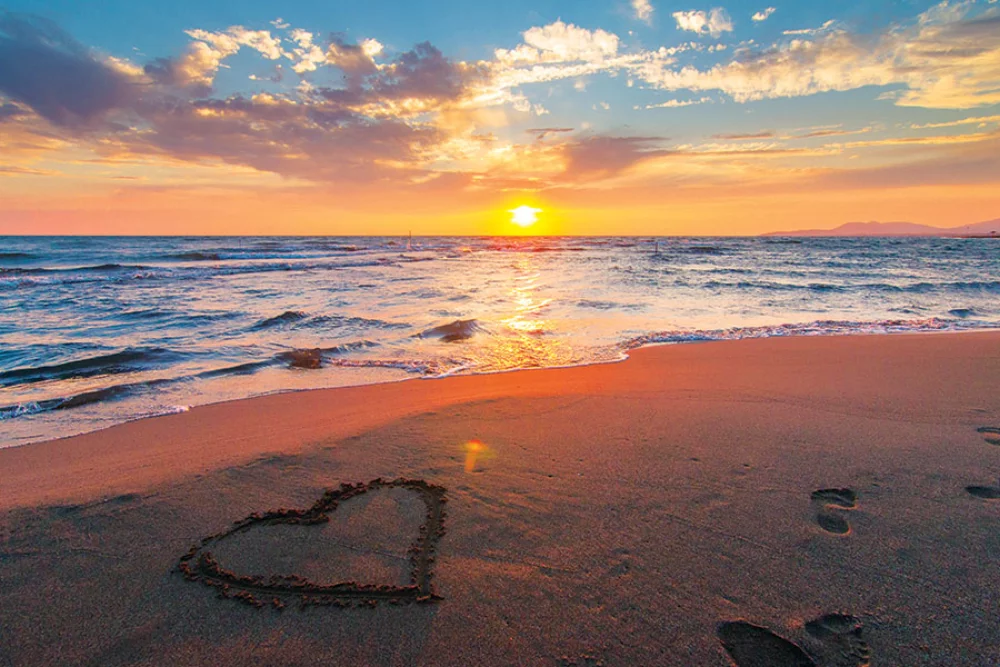 Calendrier de bureau Zen Year In A Box