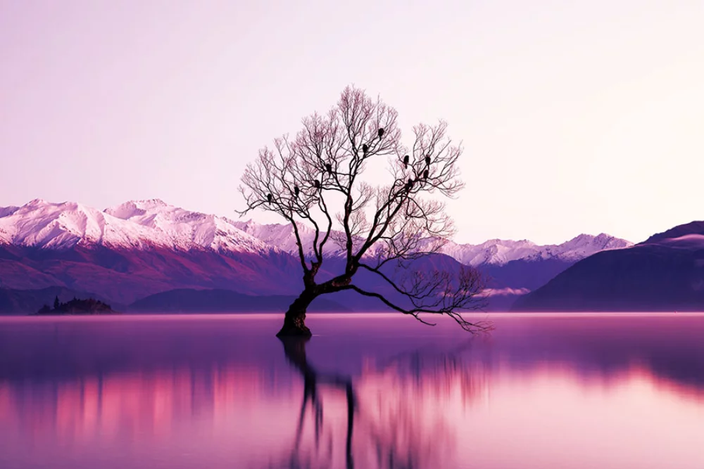 Calendrier de bureau Zen Year In A Box