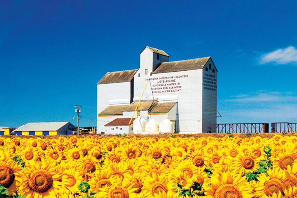 Calendrier de bureau à double vue Canada's Charms