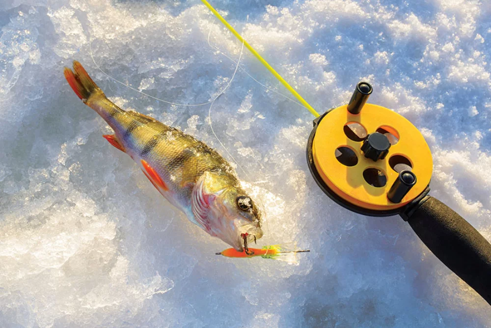 Hunting & Fishing Appointment Calendar