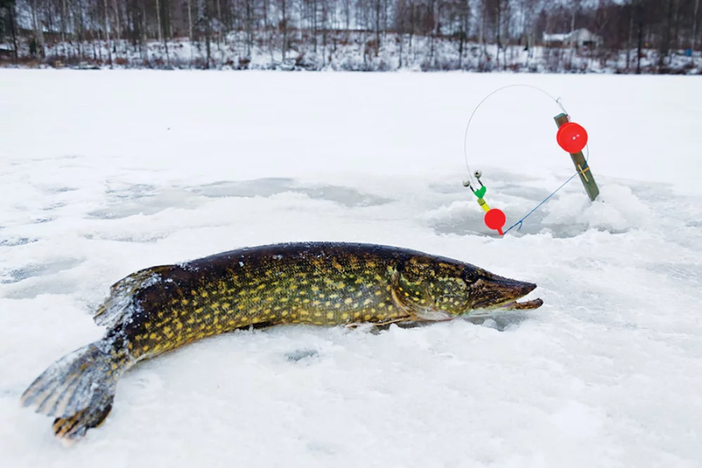 Hunting & Fishing Appointment Calendar