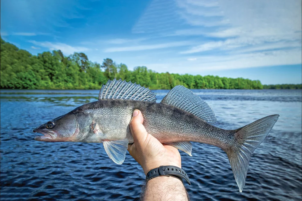 Hunting & Fishing Appointment Calendar
