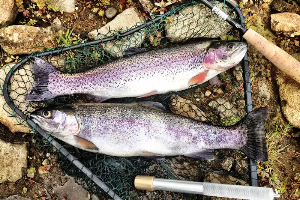 Hunting & Fishing Appointment Calendar