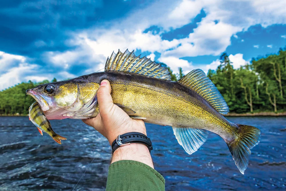 Hunting & Fishing Appointment Calendar