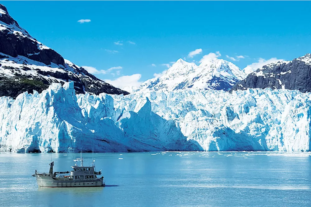 Paysage mondial