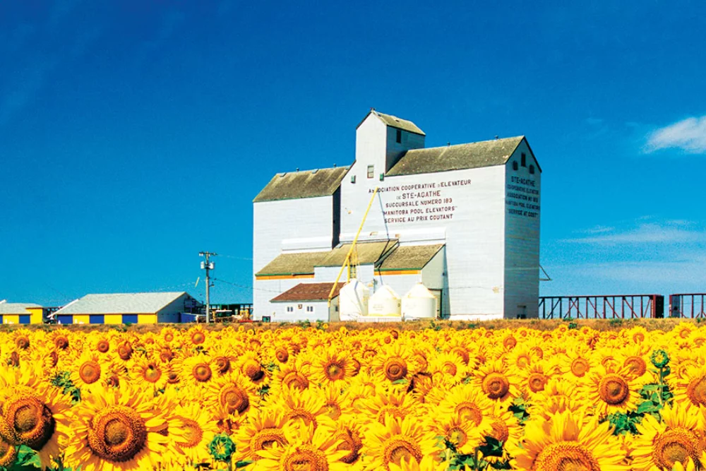 Calendrier des charmes de Multi Sheets Canada