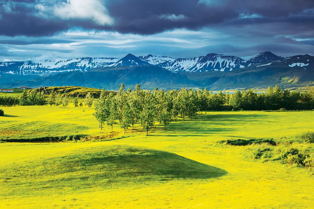 Calendrier multi-feuilles Golfing Fever