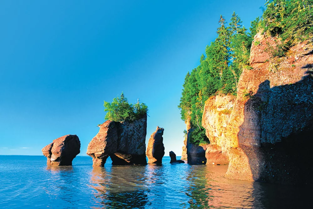 Canadian Maritimes Appointment Calendar