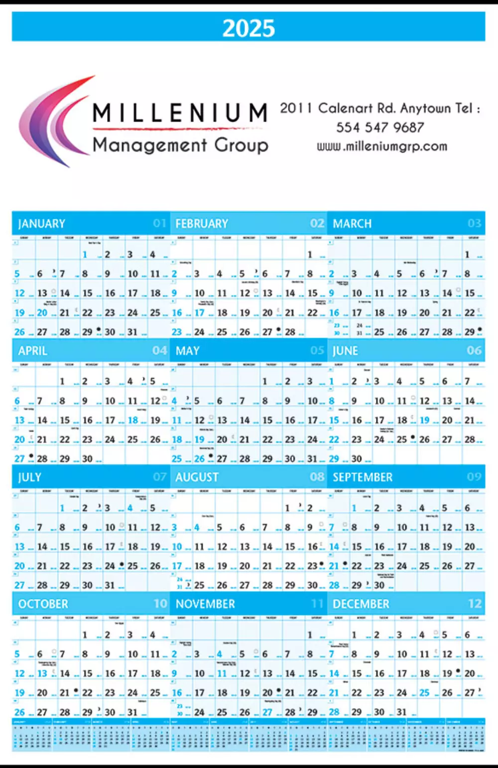 Calendrier mural Planner Plus