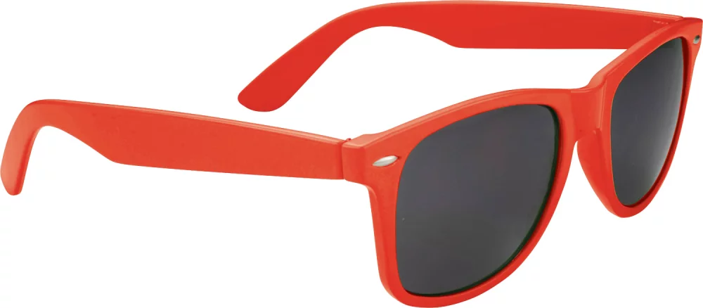 Lunettes de soleil Sun Ray