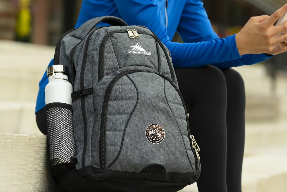 Sac à dos pour ordinateur High Sierra Swerve 17"