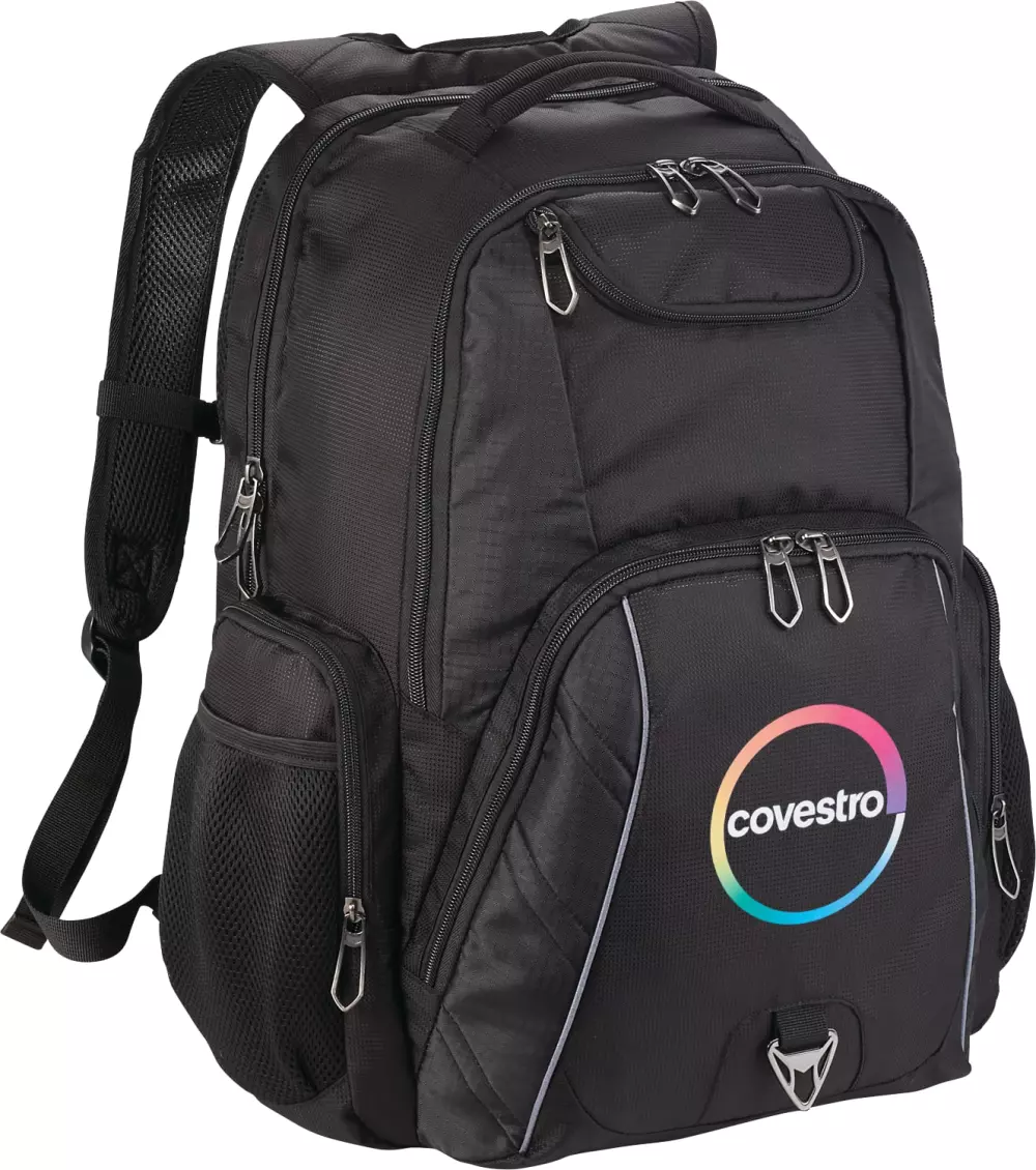 Rainier TSA 17" Computer Backpack
