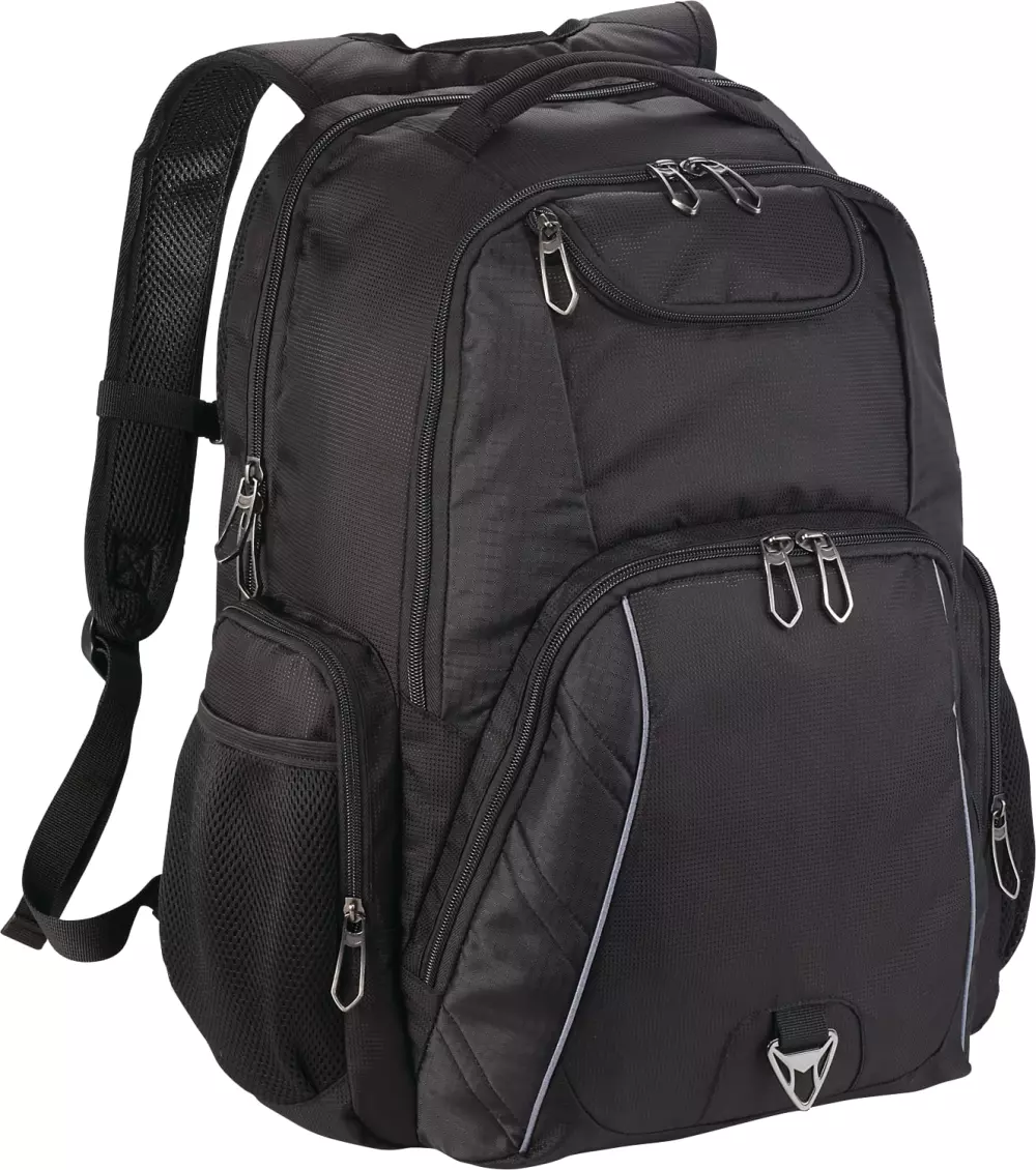 Rainier TSA 17" Computer Backpack