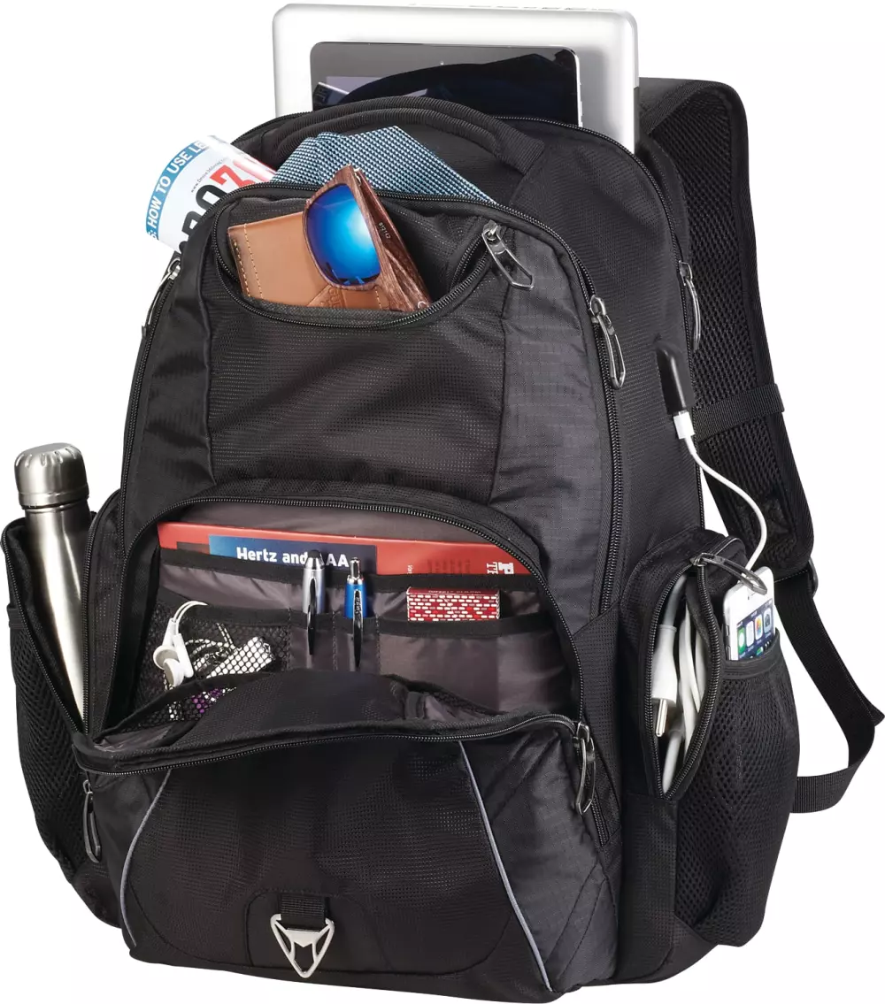Rainier TSA 17" Computer Backpack