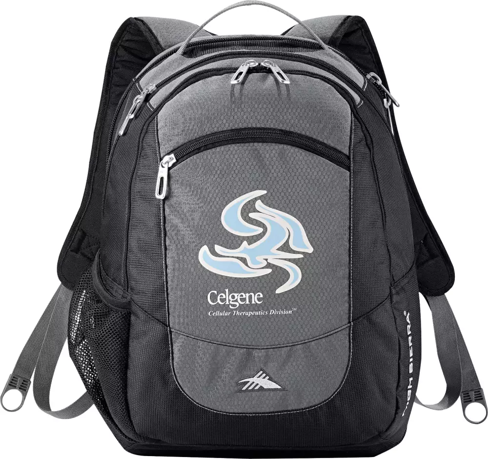High Sierra Fly-By 17" Computer Backpack