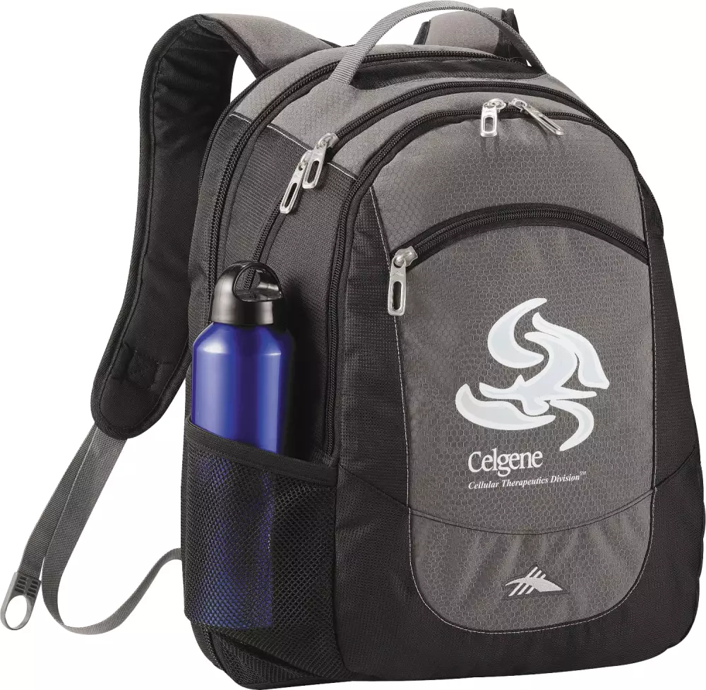 High Sierra Fly-By 17" Computer Backpack