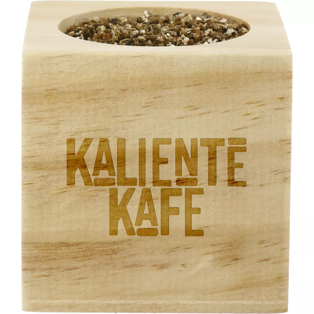 Kit de culture de basilic Sprigbox