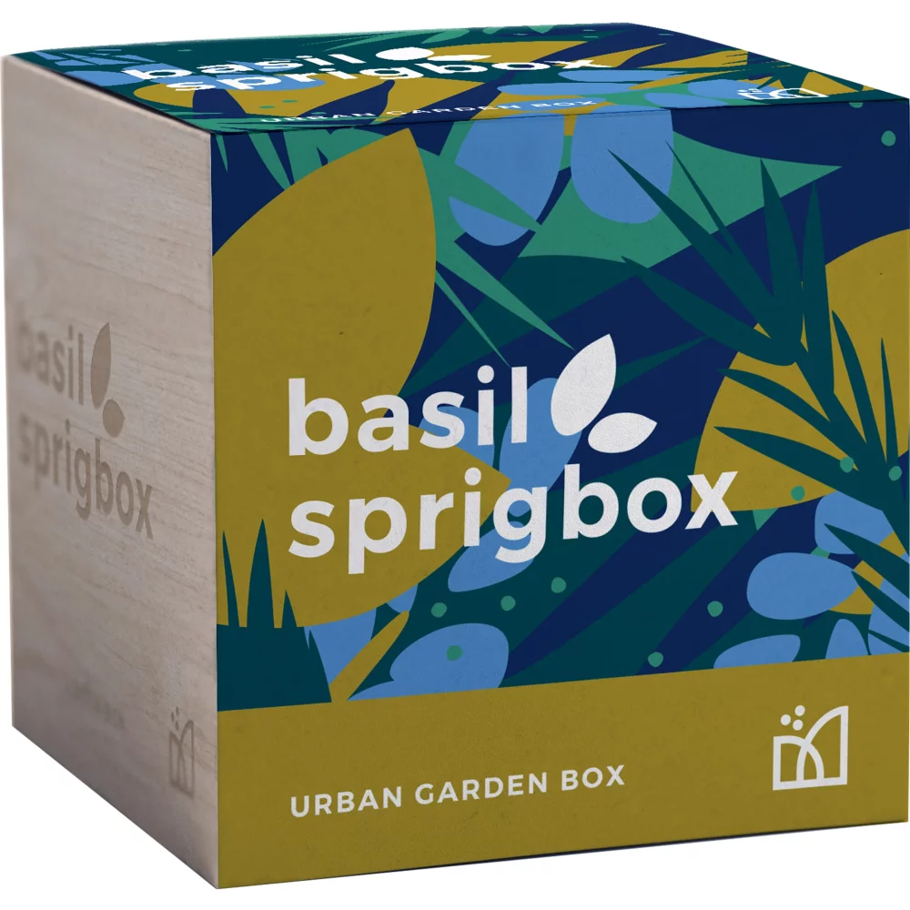 Kit de culture de basilic Sprigbox