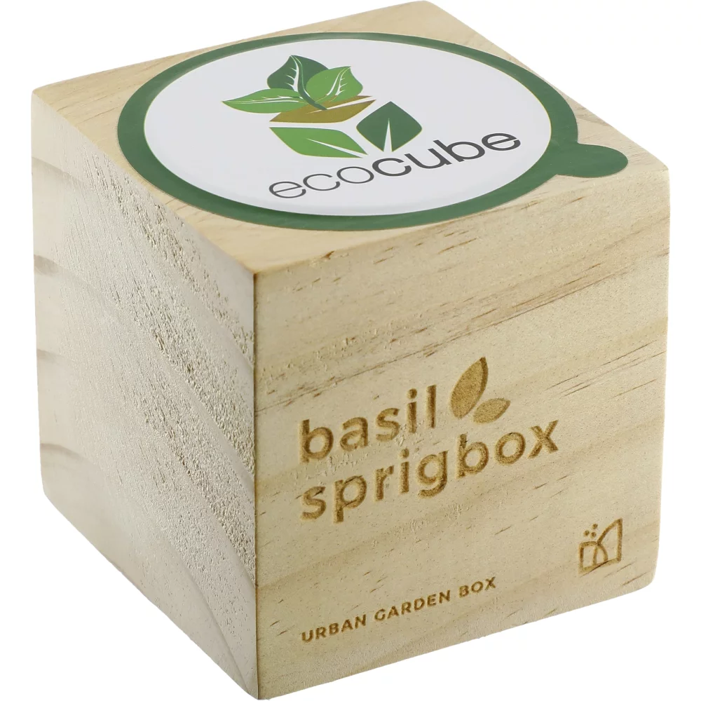Kit de culture de basilic Sprigbox