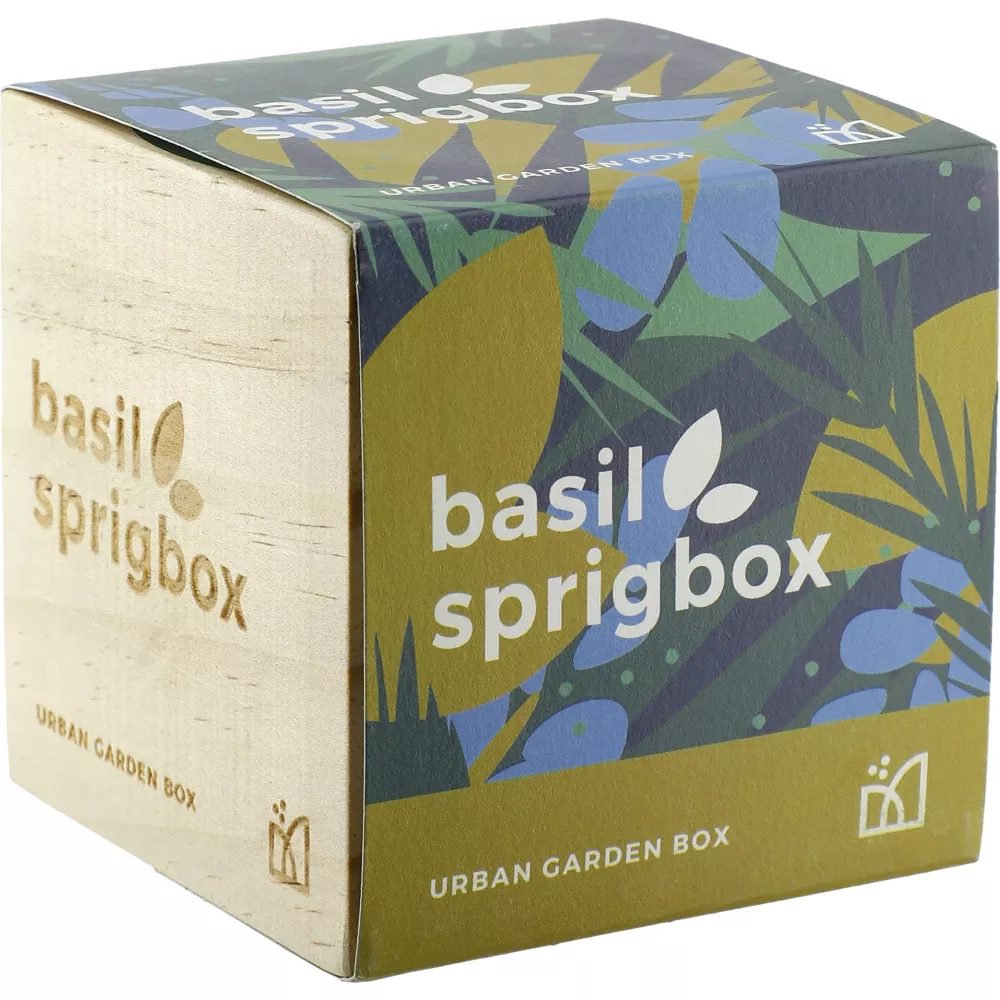 Kit de culture de basilic Sprigbox