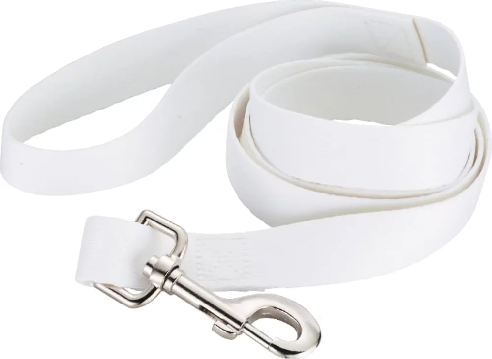 Laisse pour animal de compagnie premium de 1 pouce de largeur en couleur pleine