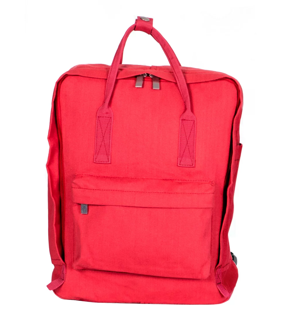 The Mini Backpack