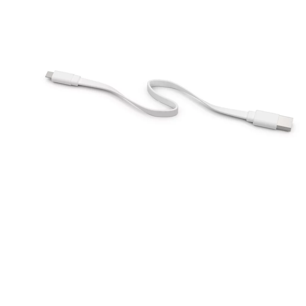 Câble Micro USB de marque (30 cm)