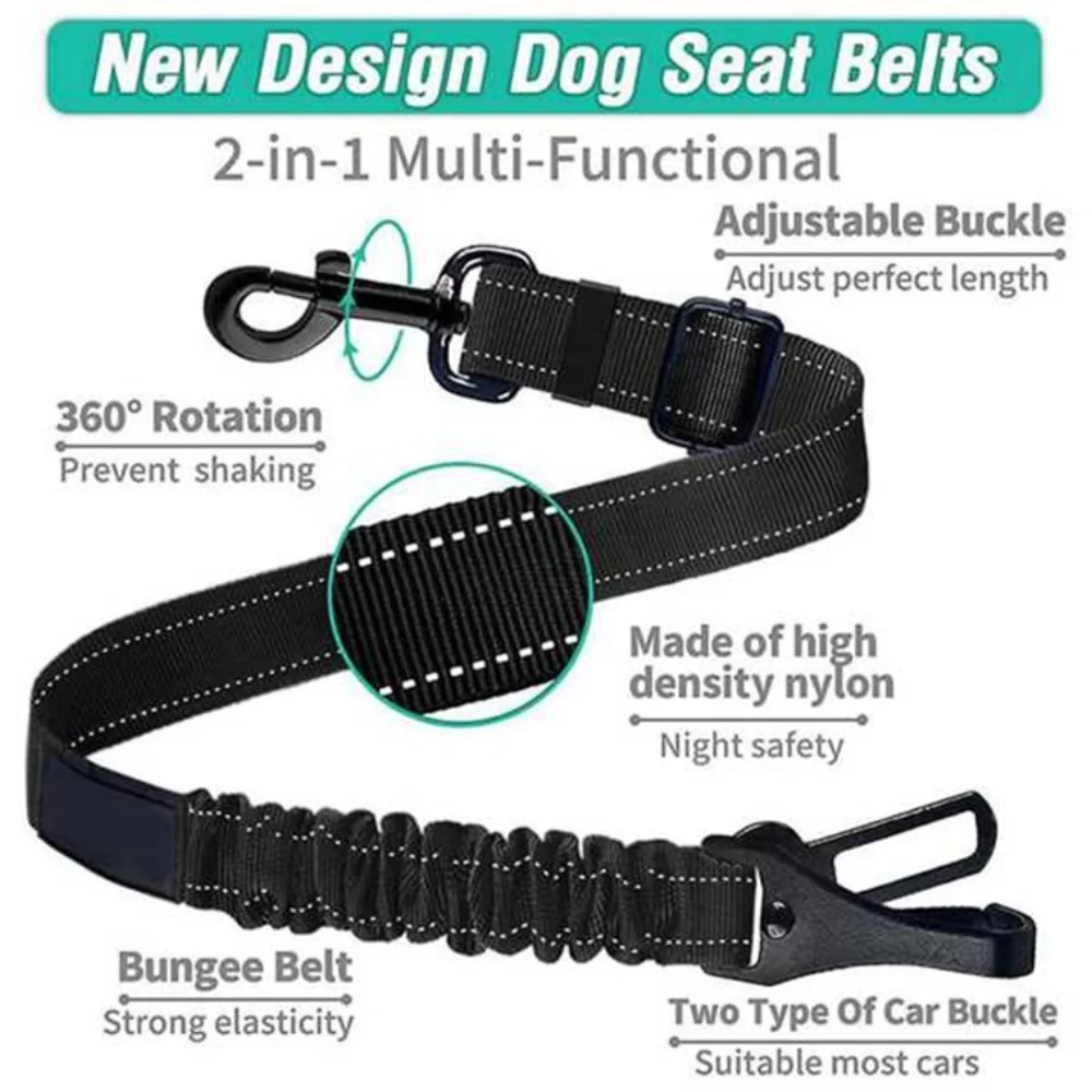 CEINTURE DE SÉCURITÉ POUR CHIEN avec bol