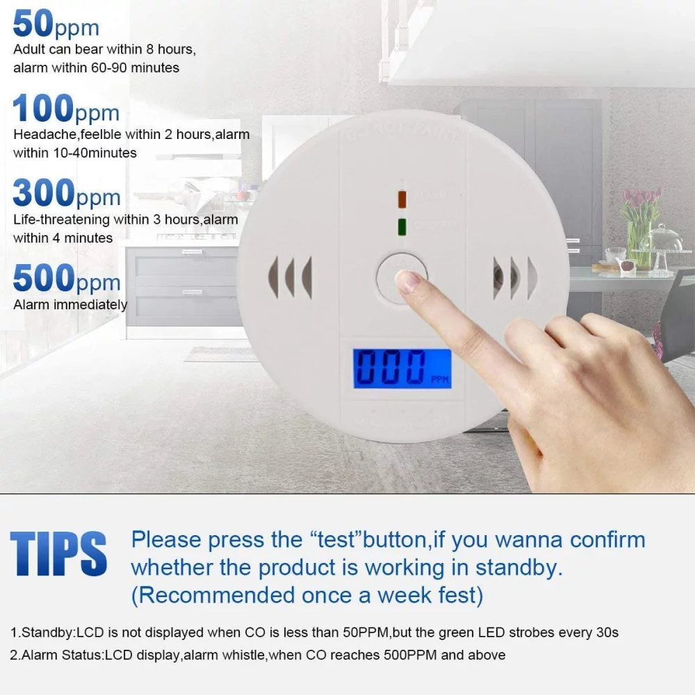 Carbon Monoxide Detector