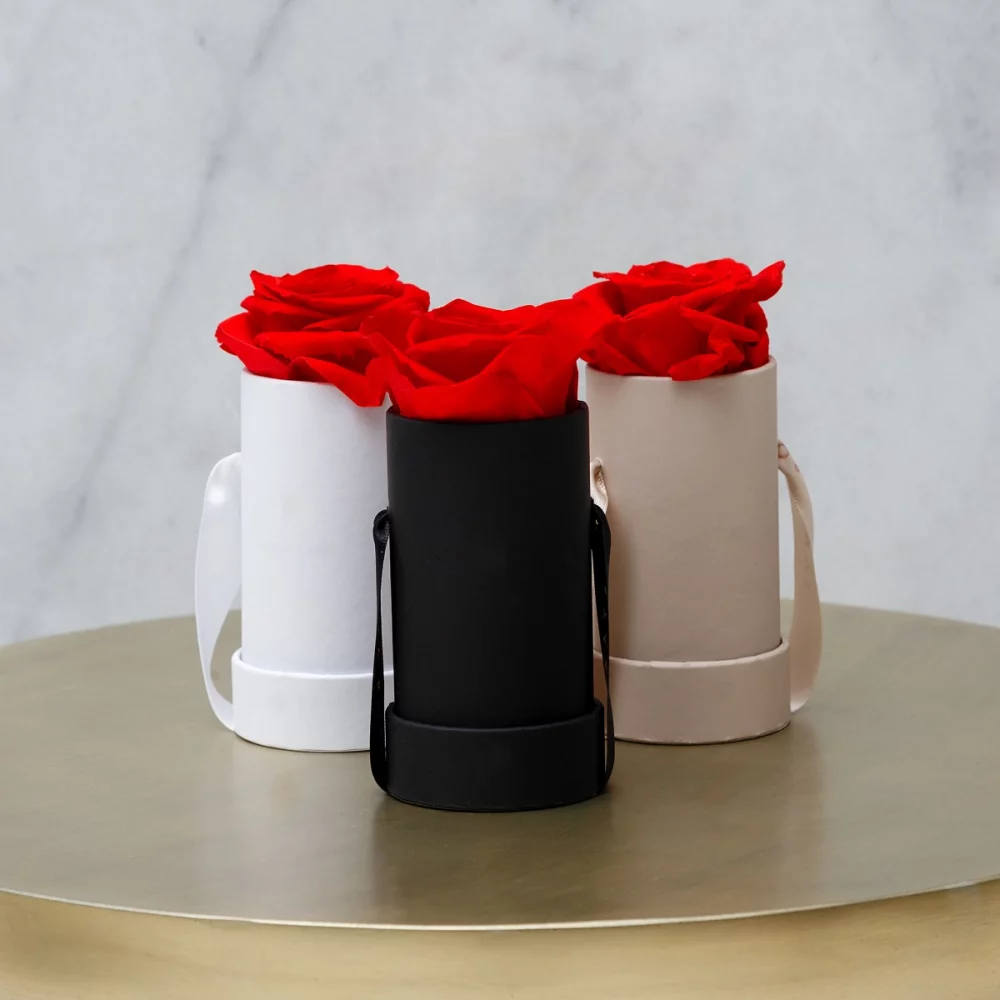 Single Real Rose-Preserved Roses that last 365 + days