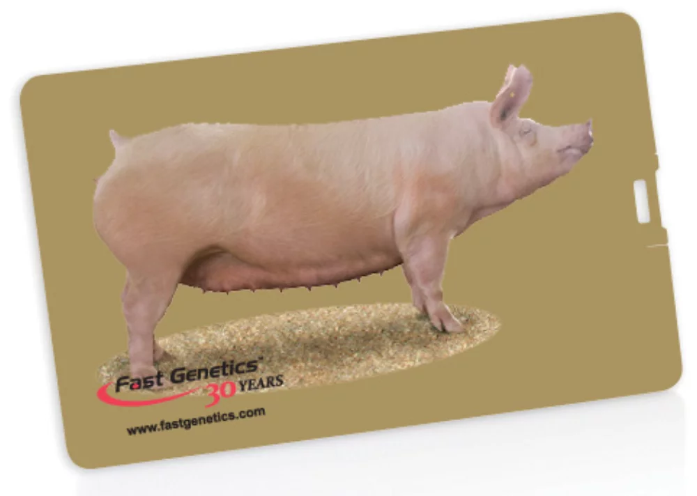 Slimline III USB Flash Drive