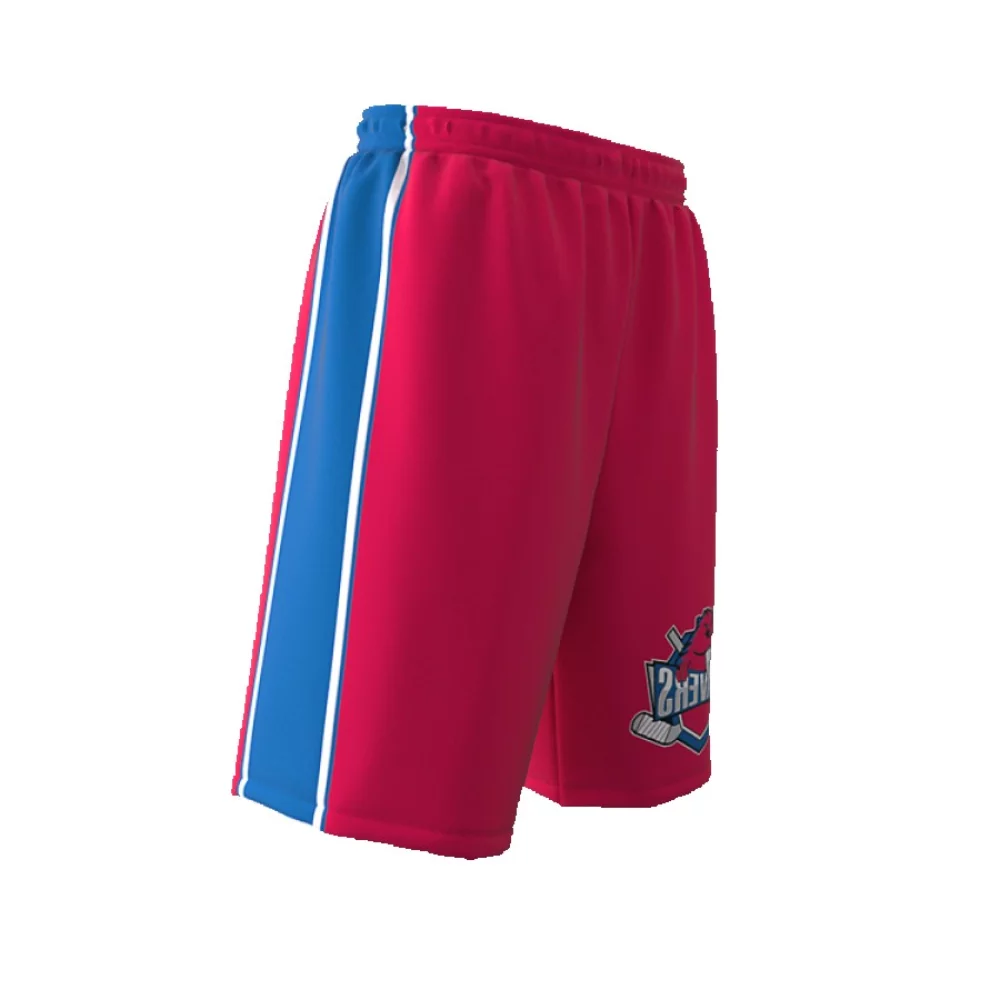 Chaussettes de hockey de style professionnel