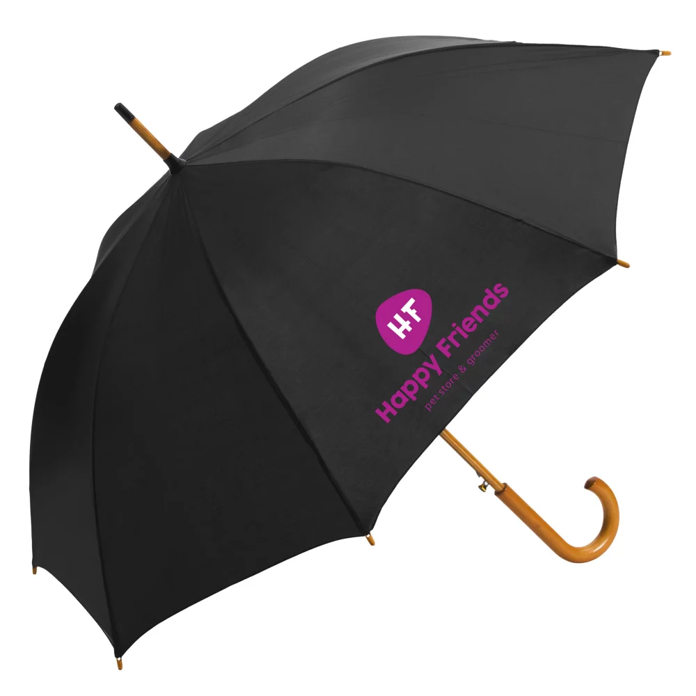 The Fashion - Auto Open Stick Umbrella