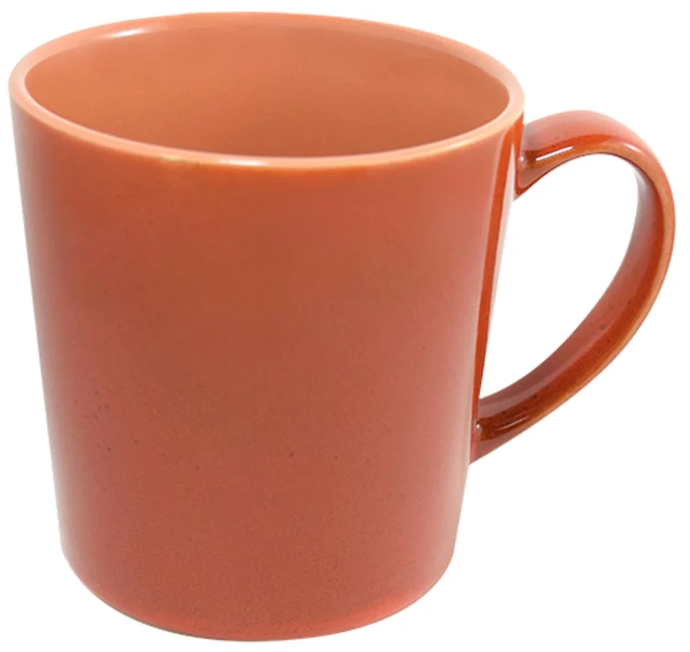 Mug réactif en terracotta Lenny 16 oz dans une boîte cadeau Ripple