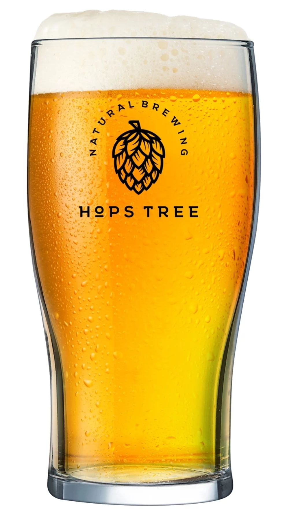 Pilsner Tulip en verre clair de 20 oz