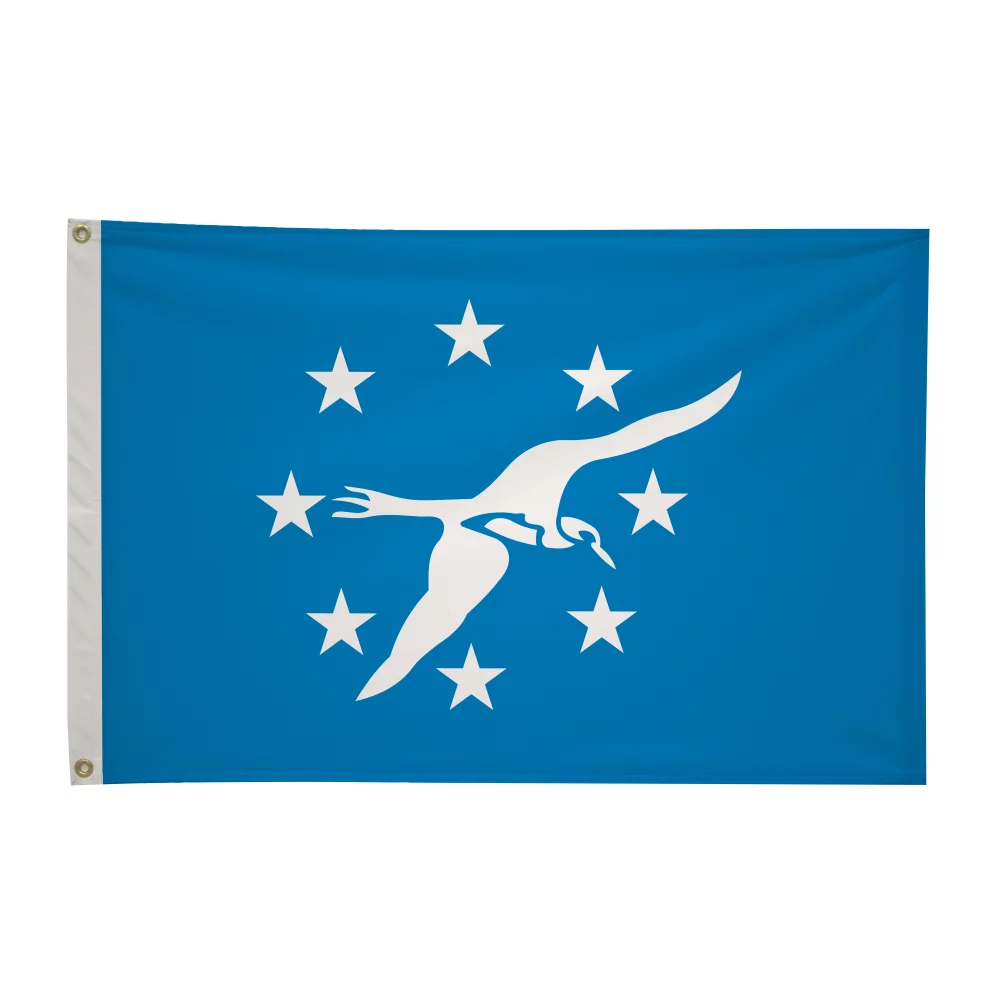 Drapeaux de ville de 2' x 3'
