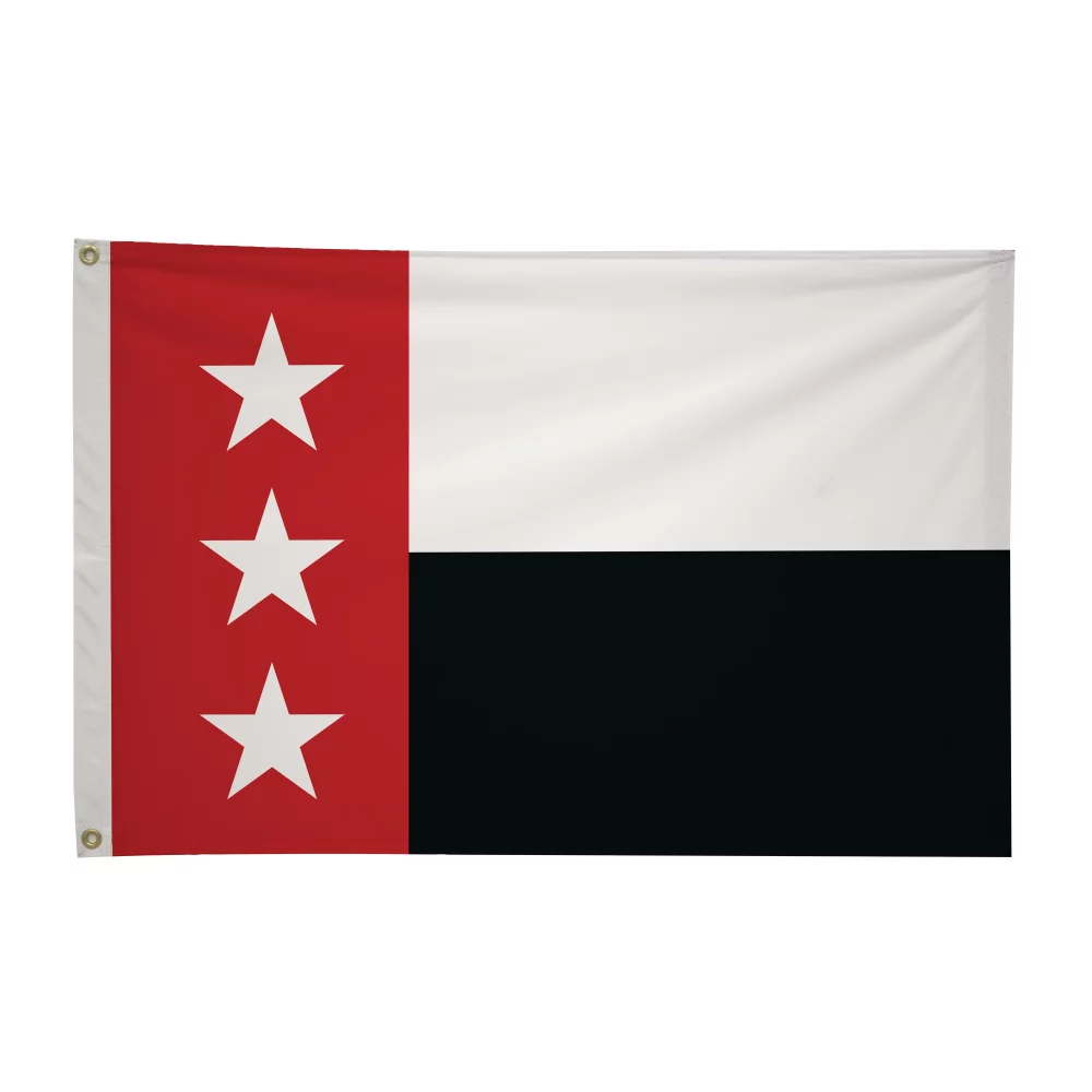 2' x 3' City Flags
