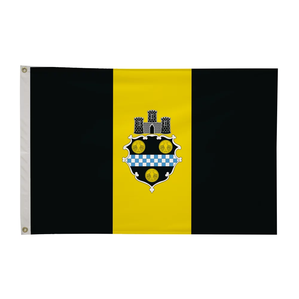 2' x 3' City Flags